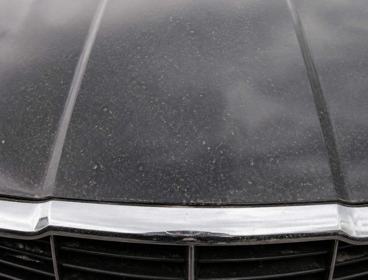 Paint & chrome before cleaning